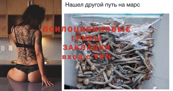 прущая мука Сясьстрой