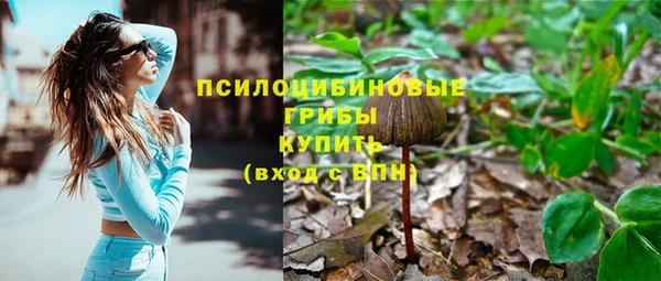 синтетический гашиш Костерёво