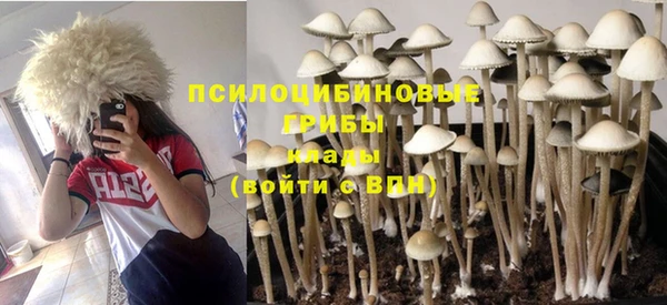 мдпв Заводоуковск