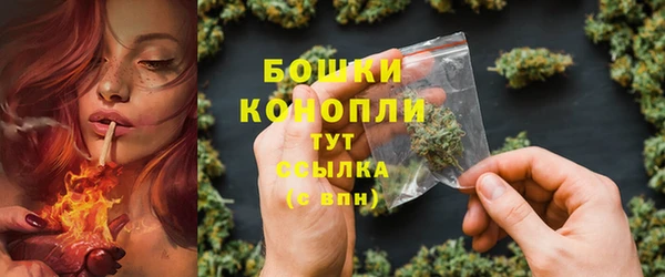 индика Кинешма