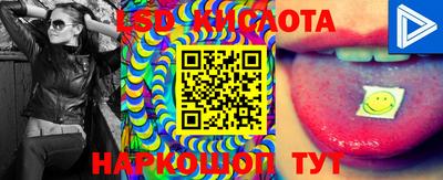 молекула духа Будённовск