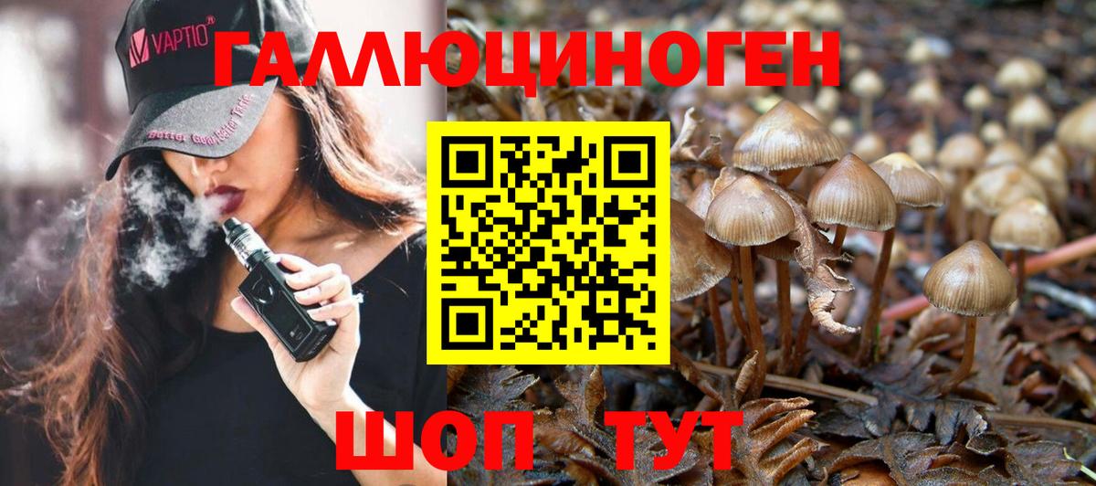 Дмитров  Галлюциногенные грибы MAGIC MUSHROOMS  Вход с VPN 