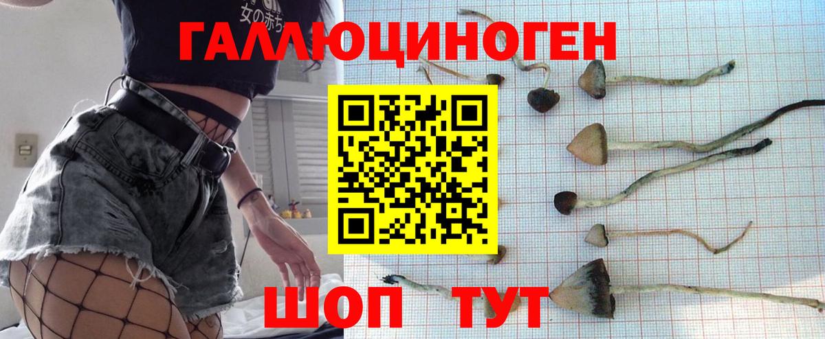 Галлюциногенные грибы MAGIC MUSHROOMS  Дмитров 