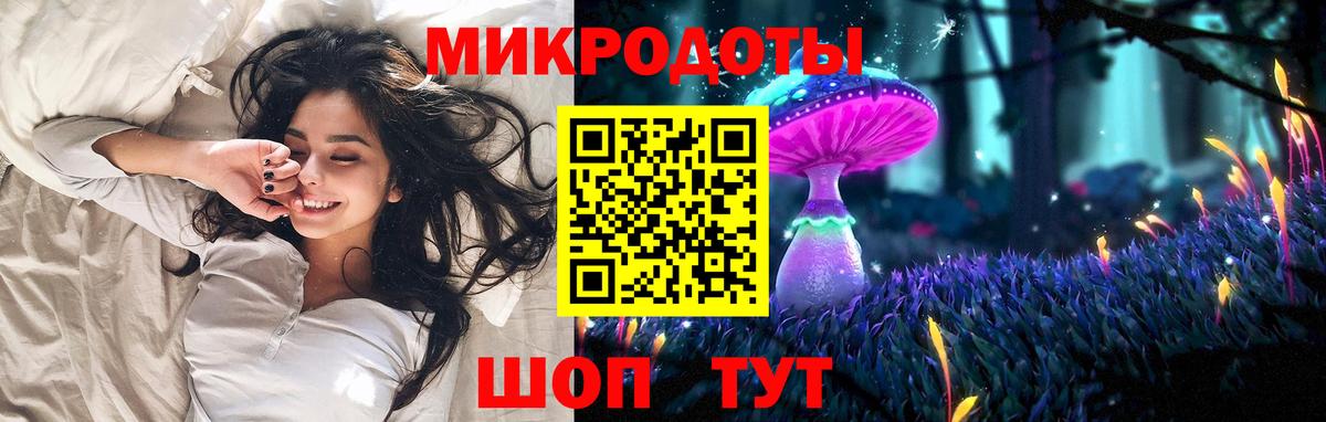 Галлюциногенные грибы Psilocybine cubensis Дмитров