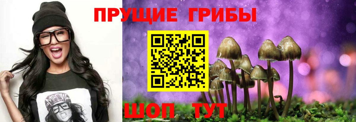 Галлюциногенные грибы Cubensis Дмитров